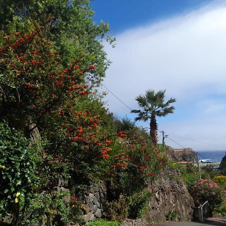 Paraiso Resiliente Santana  Dış mekan fotoğraf