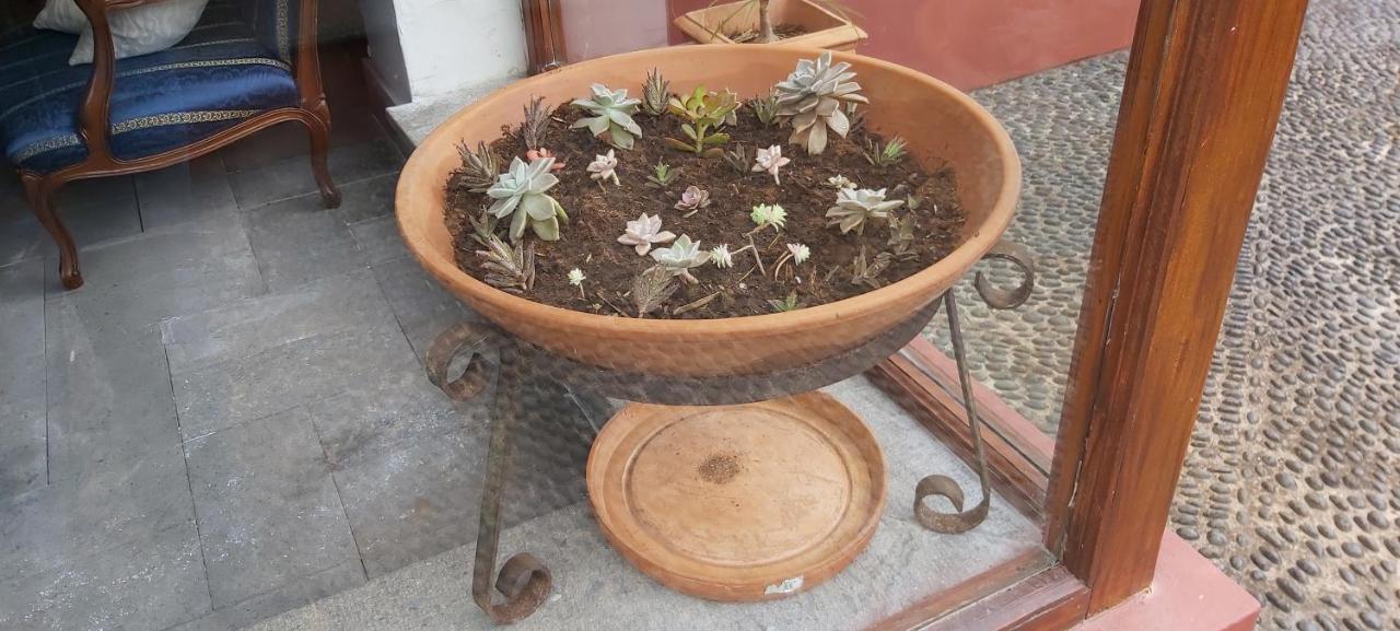 Paraiso Resiliente Santana  Dış mekan fotoğraf