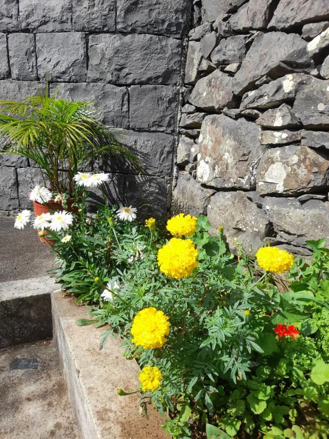Paraiso Resiliente Santana  Dış mekan fotoğraf